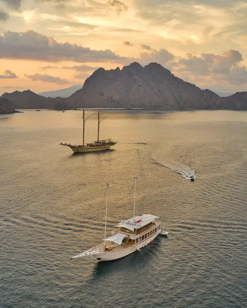 Komodo Dragon Tour | Komodo Island Tour | Tours Komodo